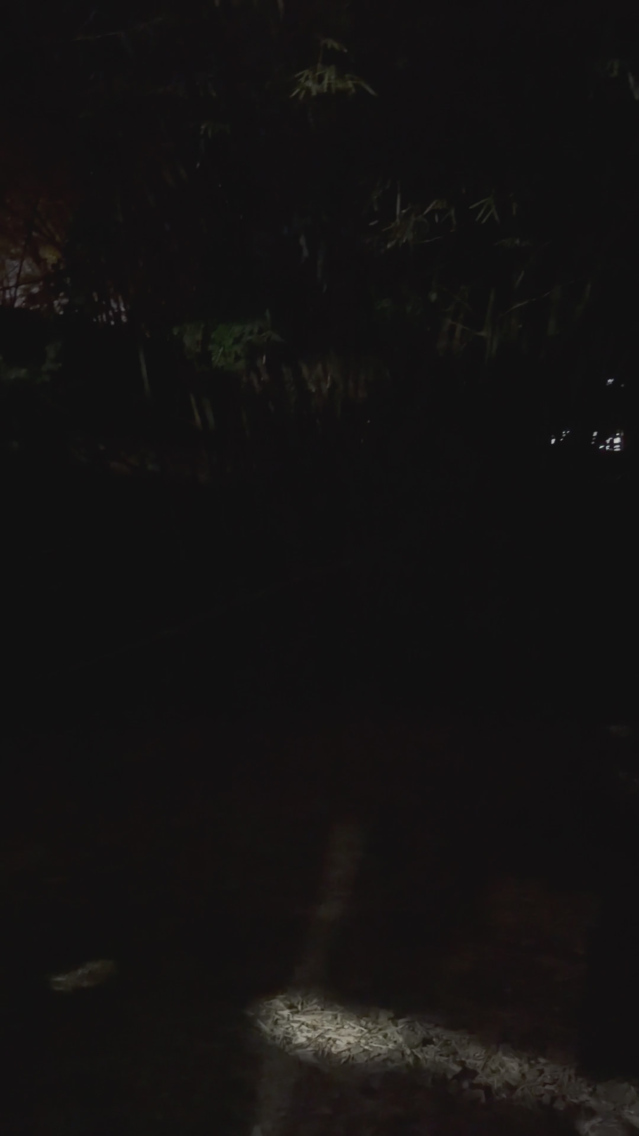 Foco Solar LED 500W | 55,000 lúmenes